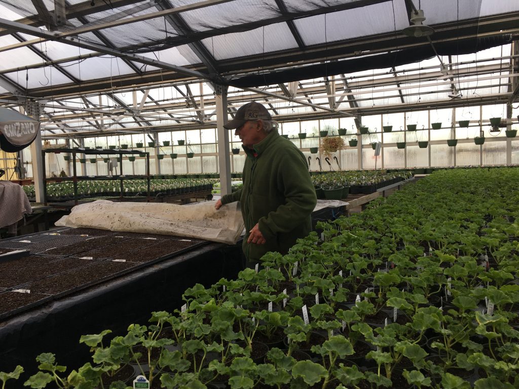 Griggs Farm Billerica